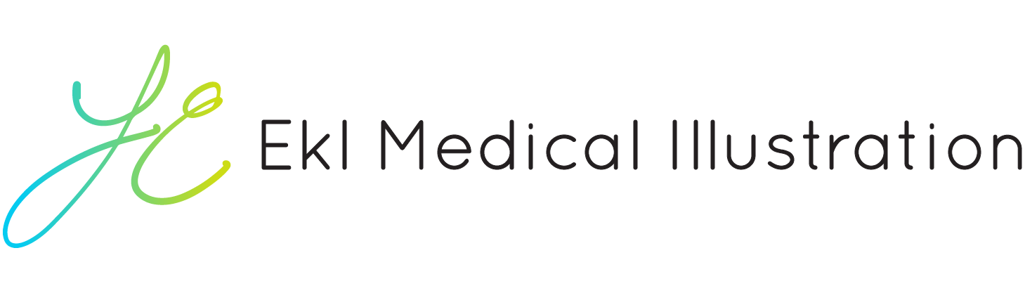 Ekl Medical Illustration web header