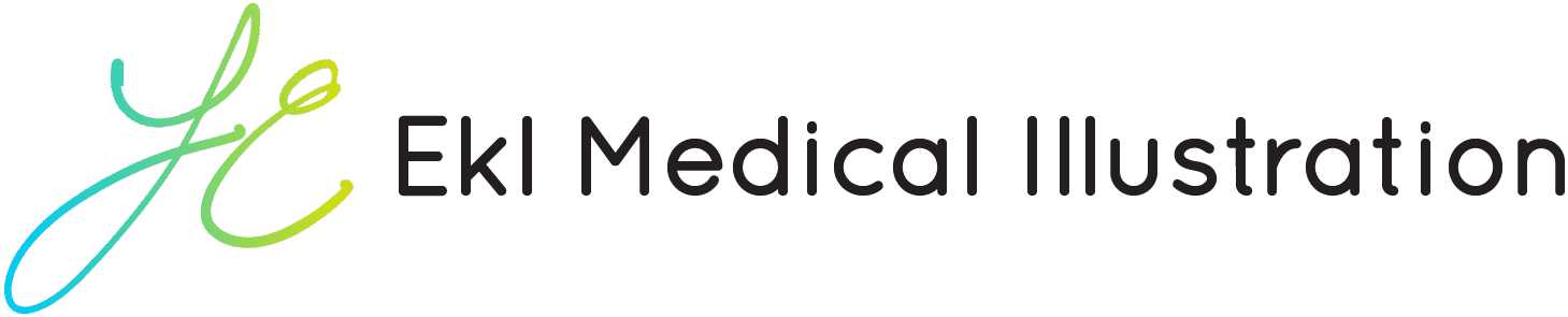 Ekl Medical Illustration