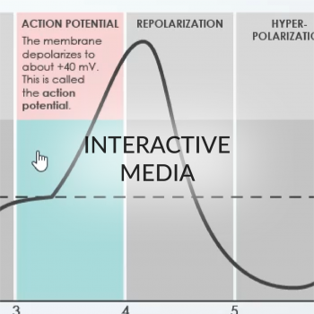 HomepageThumbnailswText_InteractiveMedia_thumbnail